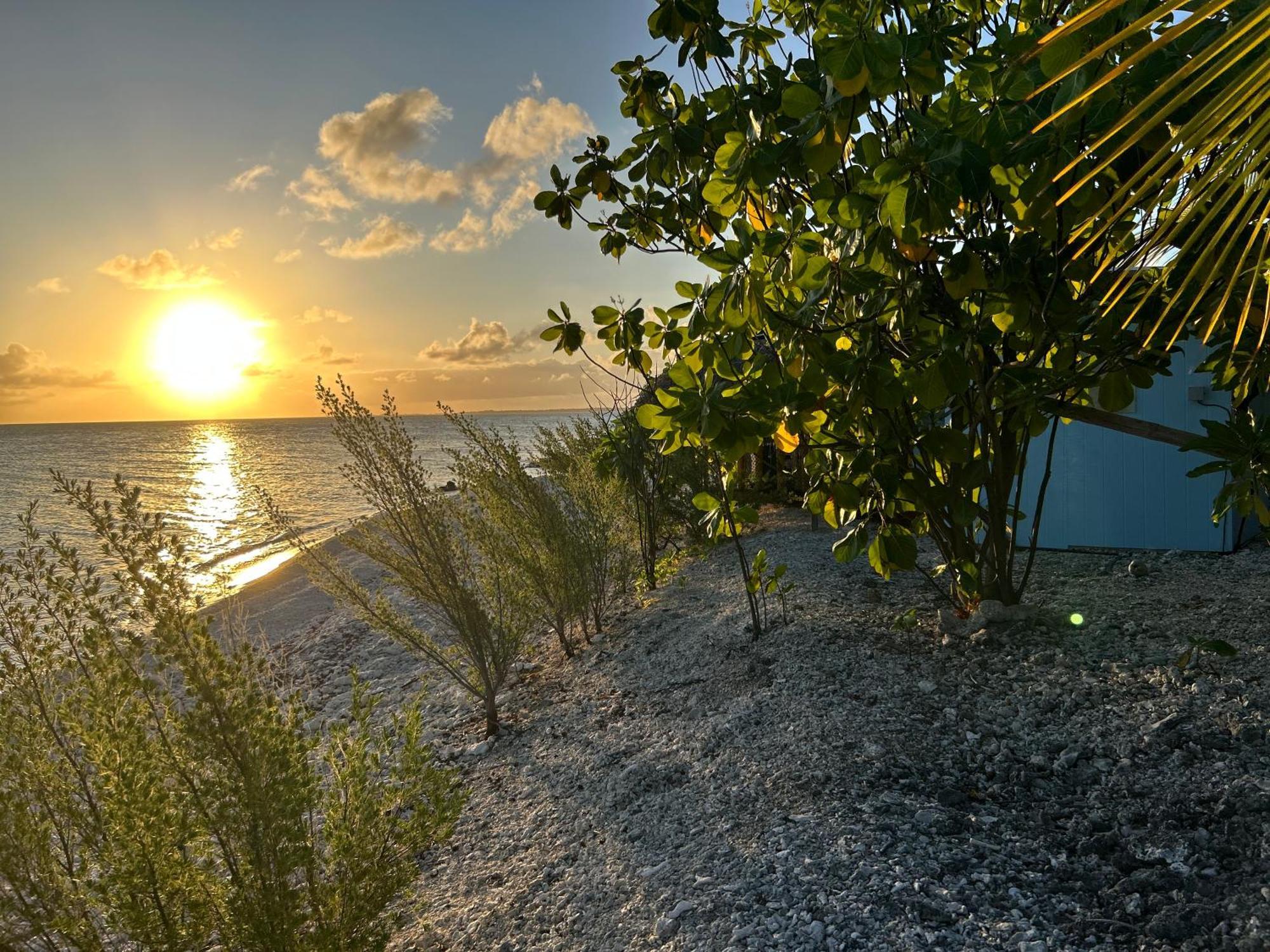 Отель Rangiroa Bliss Tiputa Экстерьер фото