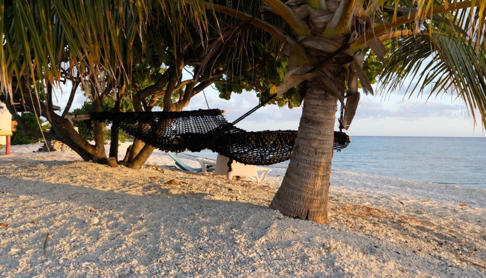 Отель Rangiroa Bliss Tiputa Экстерьер фото