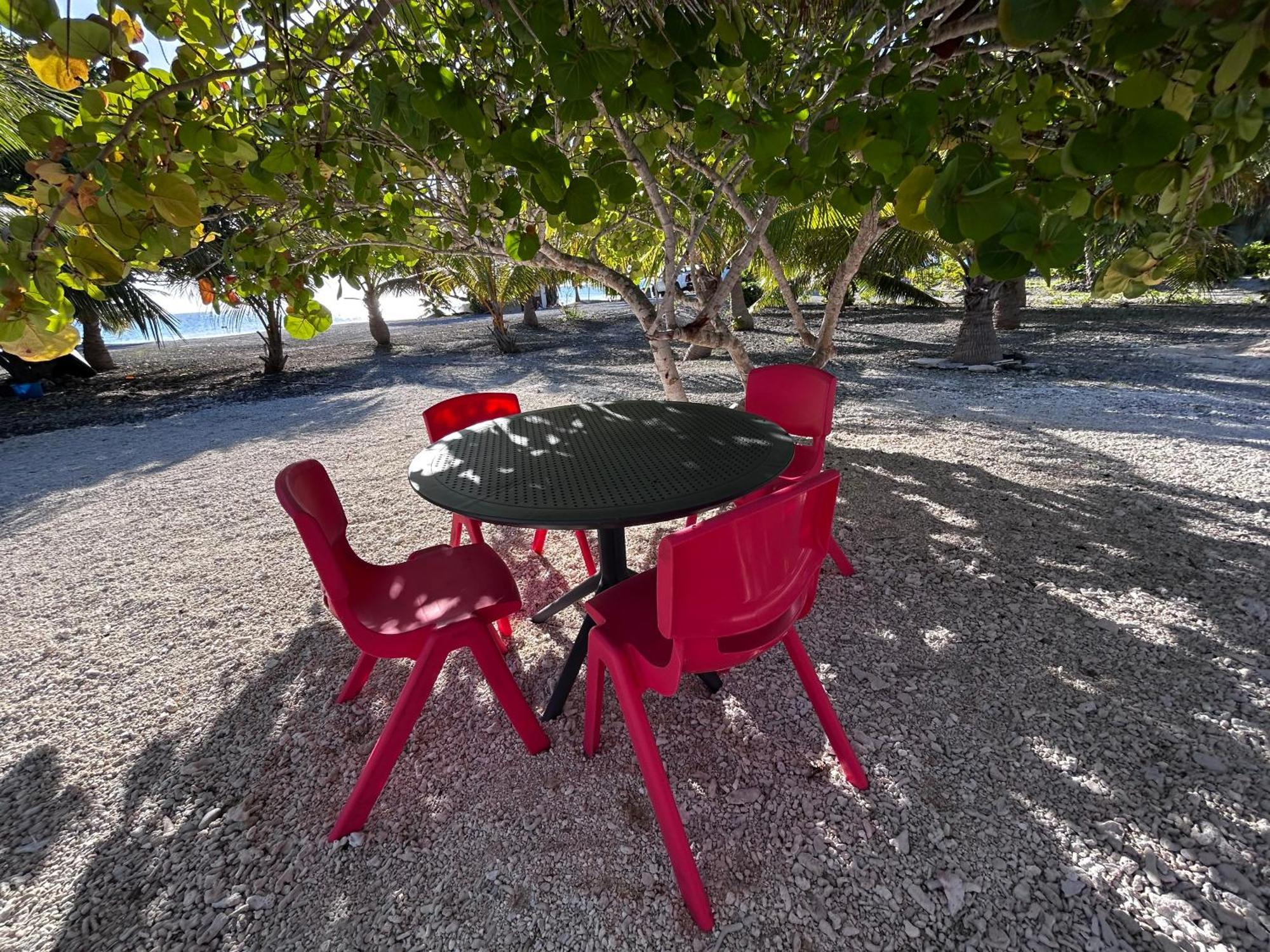 Отель Rangiroa Bliss Tiputa Экстерьер фото